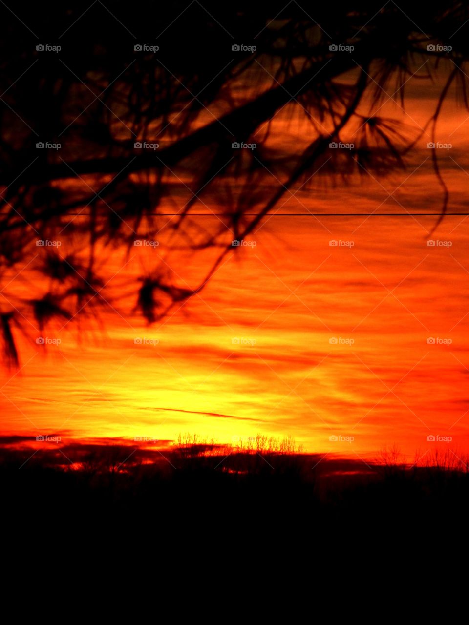 Beautiful sky tonight. 