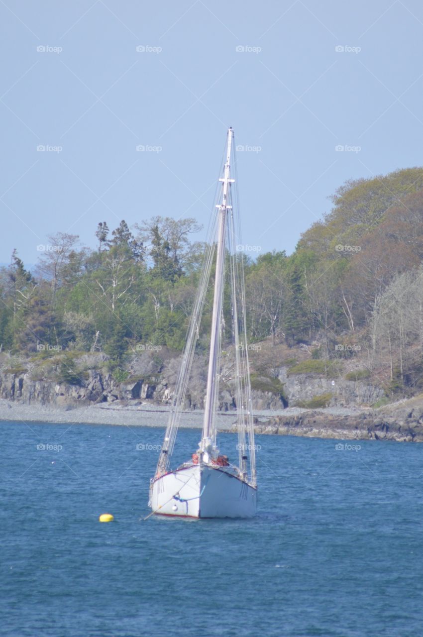 Bar Harbor Sailing