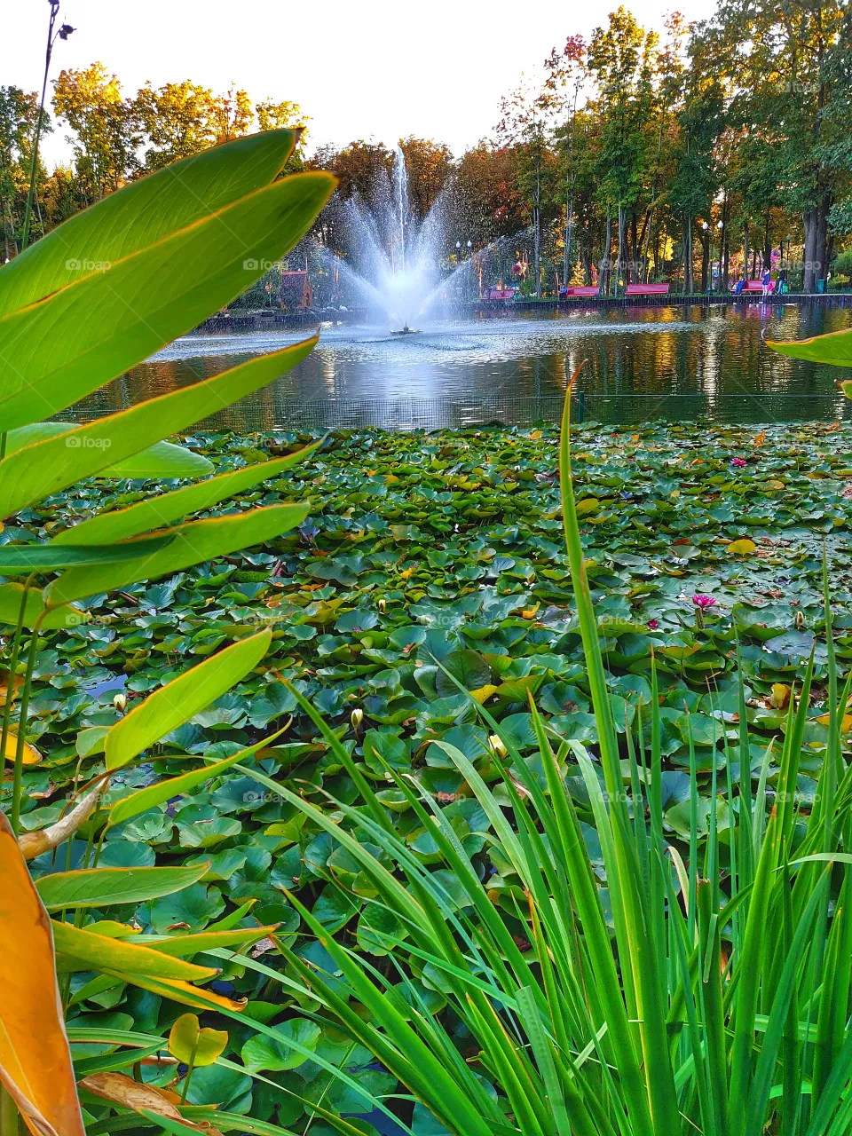 Lake, autumn moods