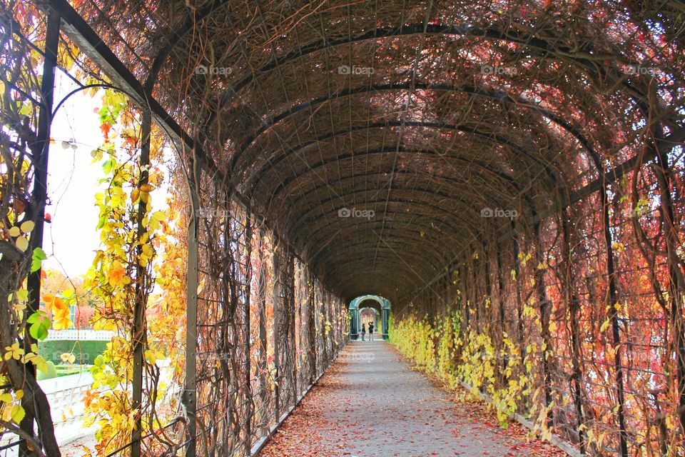 covered path. One of the covered paths in Schönbrunn palace in Vienna.