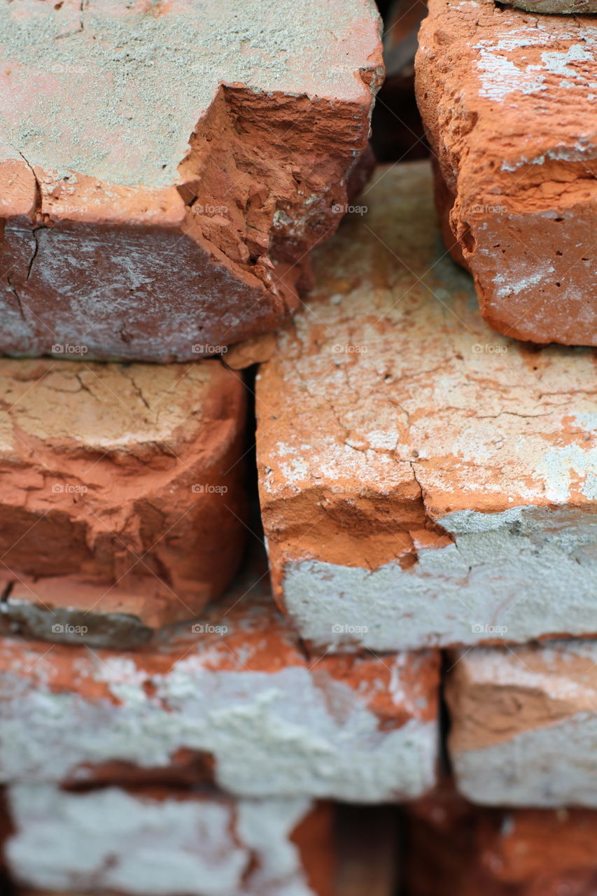 Кирпичи. Birch.