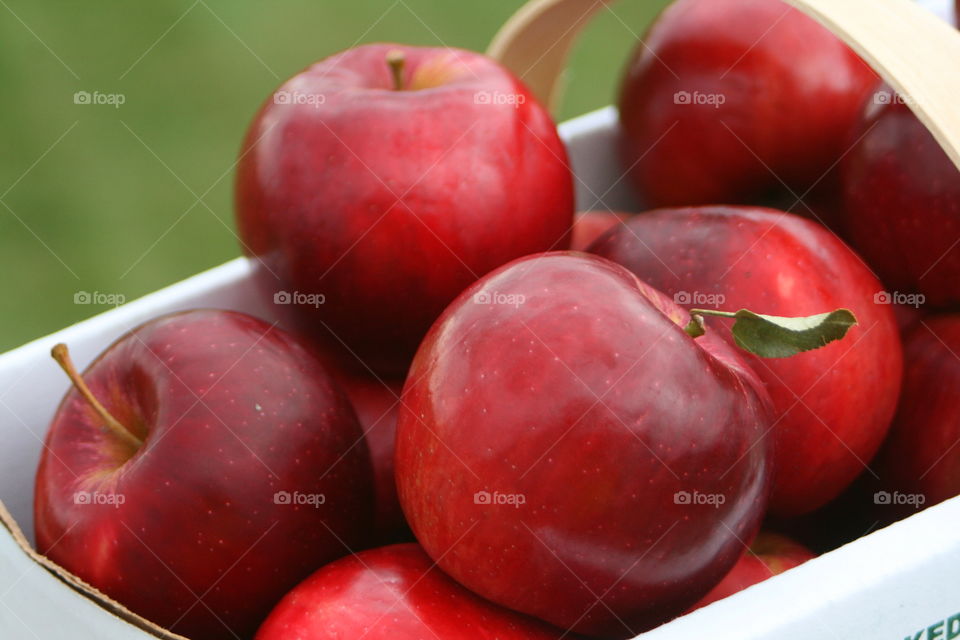 Red apples in basket