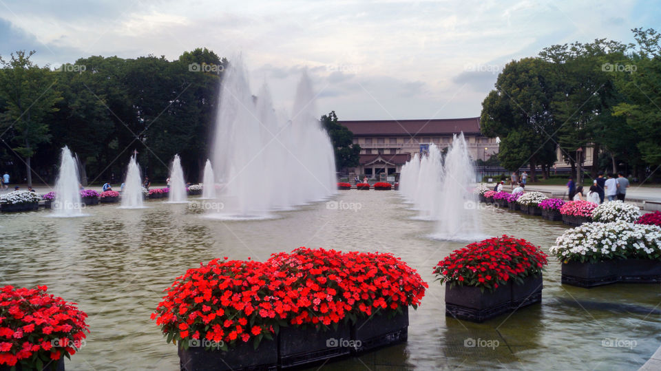 Fountain 