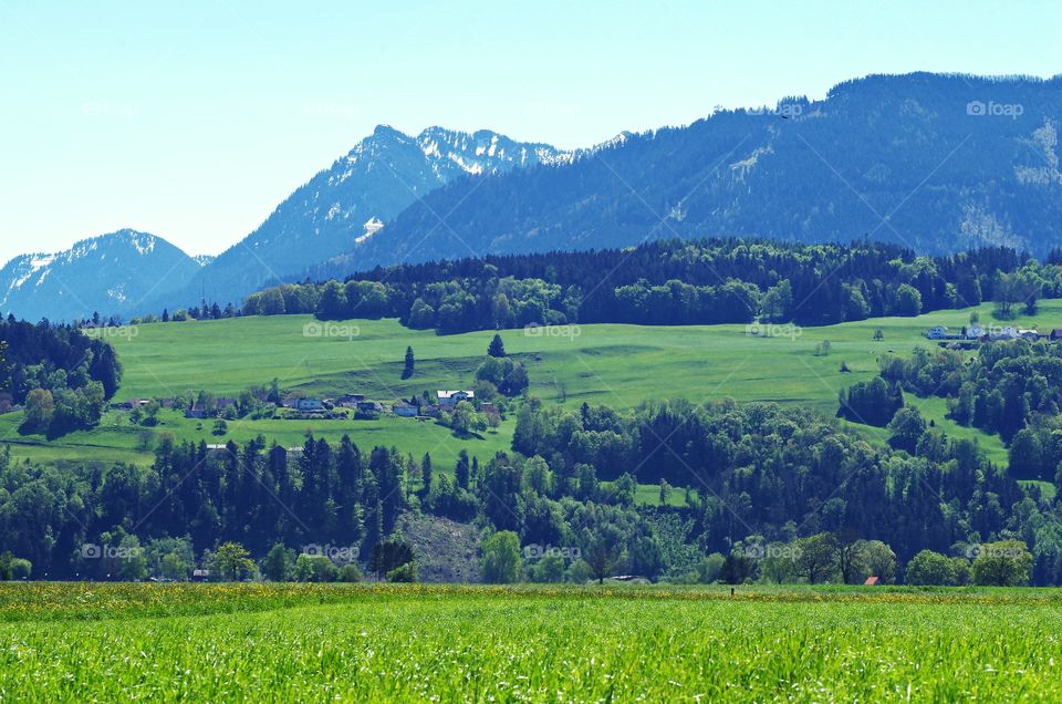 Scenic view of trees and mountains