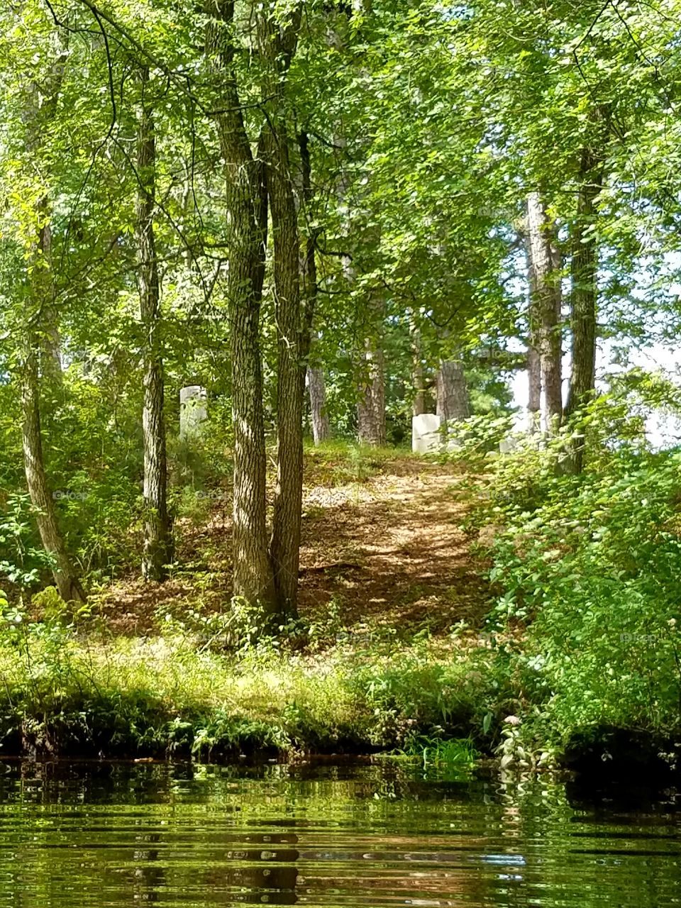Cemetery in the wood along the creek