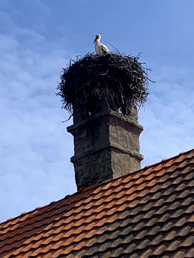 a sign of spring