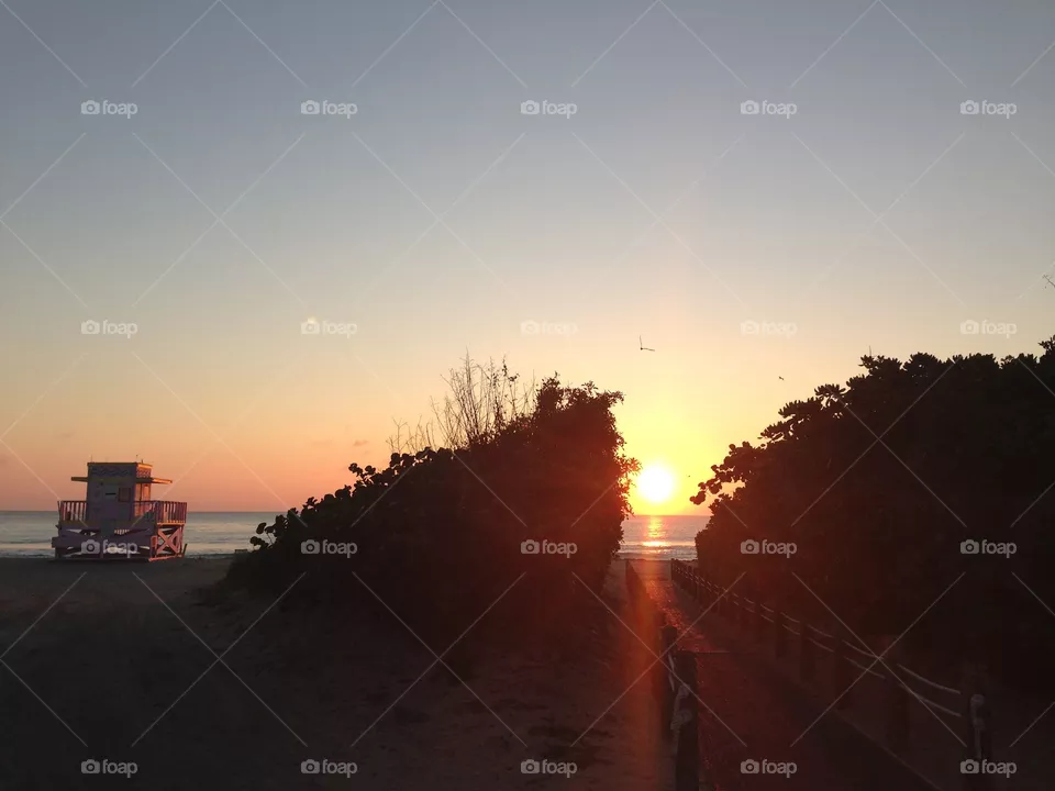Rising sun 