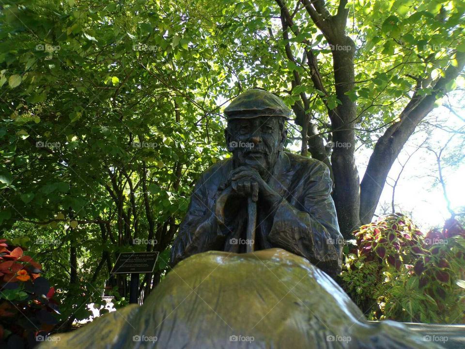 the eyes of maturity frozen in time.