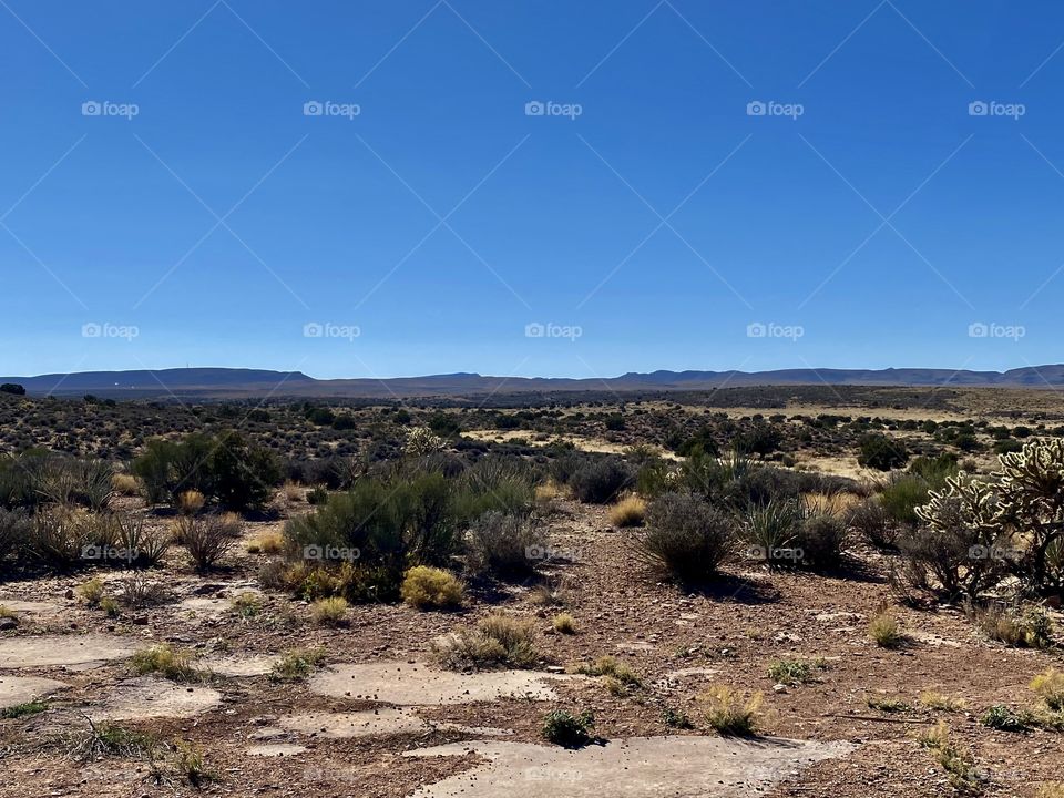 Plain near the Grand Canyon in Arizona 