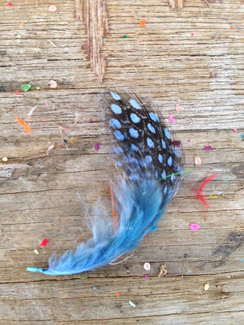 Blue feather.