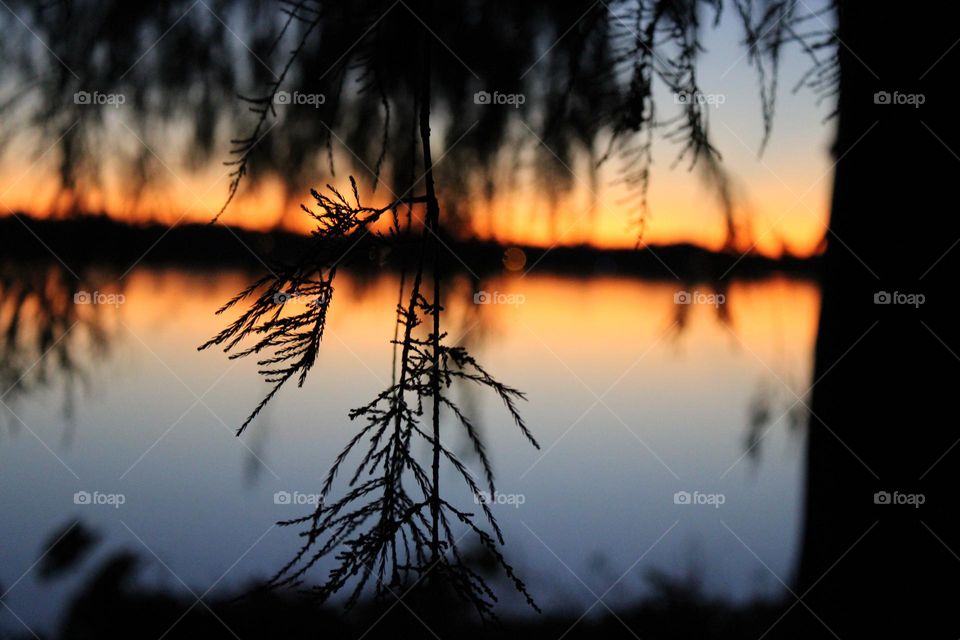 Beautiful landscape my favorite 