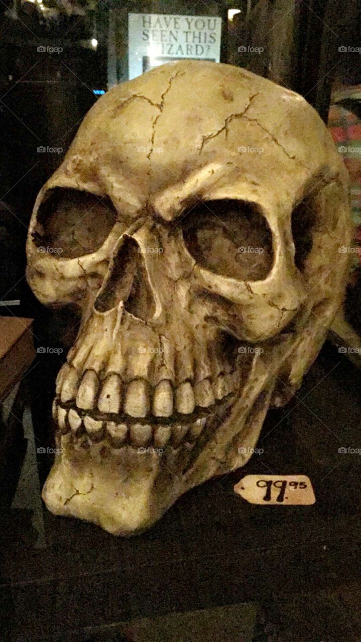 Skull