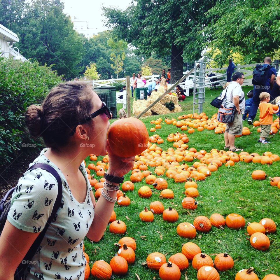 Pumpkin Harvest