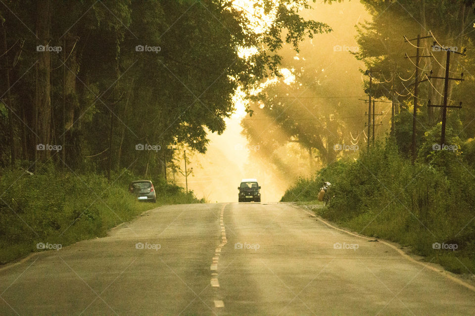 street , forest , adventure , car