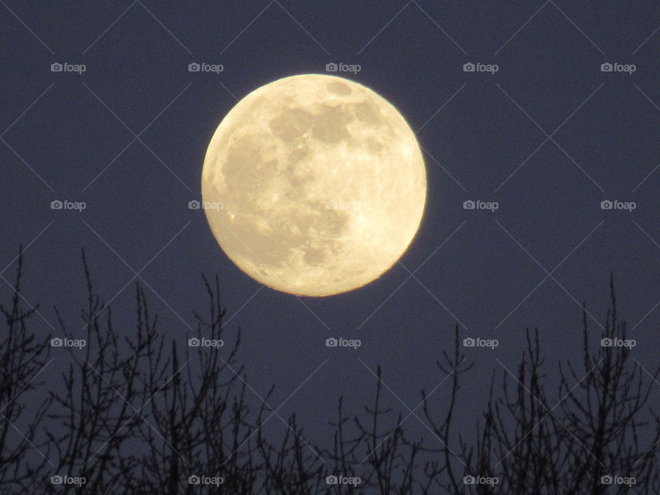 super moon in February 2020