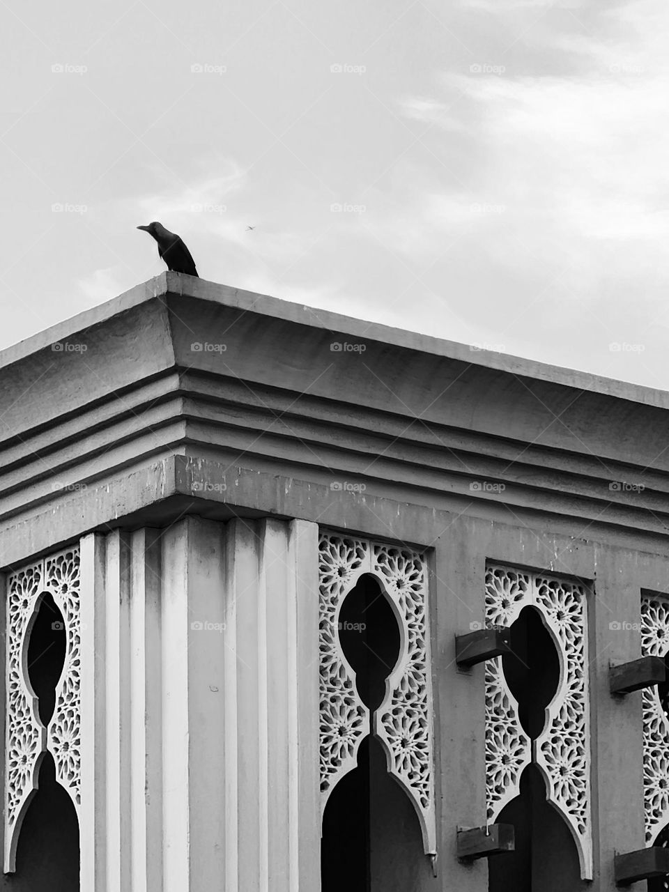 NOTHING IS UNREAL AS LONG AS YOU CAN IMAGINE LIKE A CROW