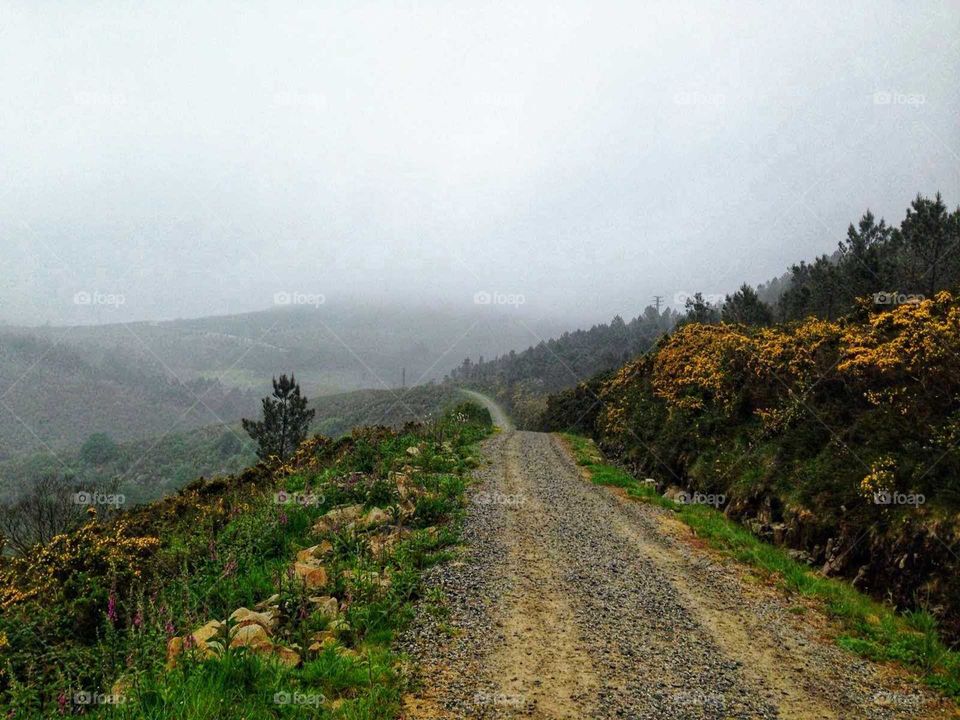 Landscapes of 2019...Caminho de Santiago, Spain