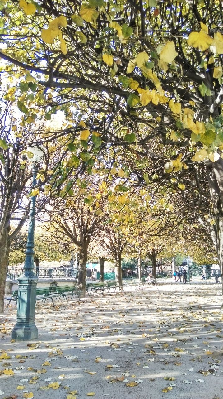 Paris park in Autumn