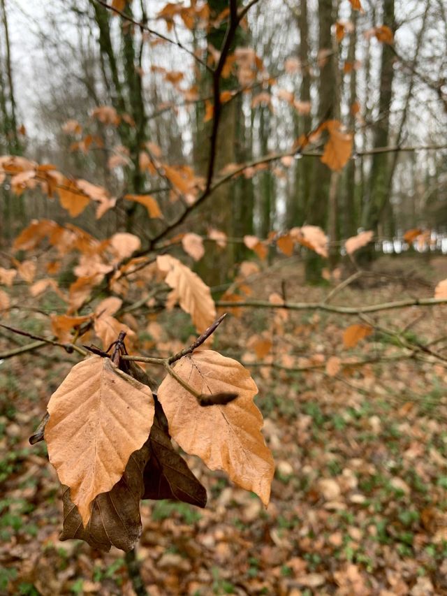 Love Nature