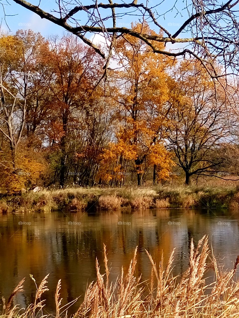 polish nature ad the river in autumn