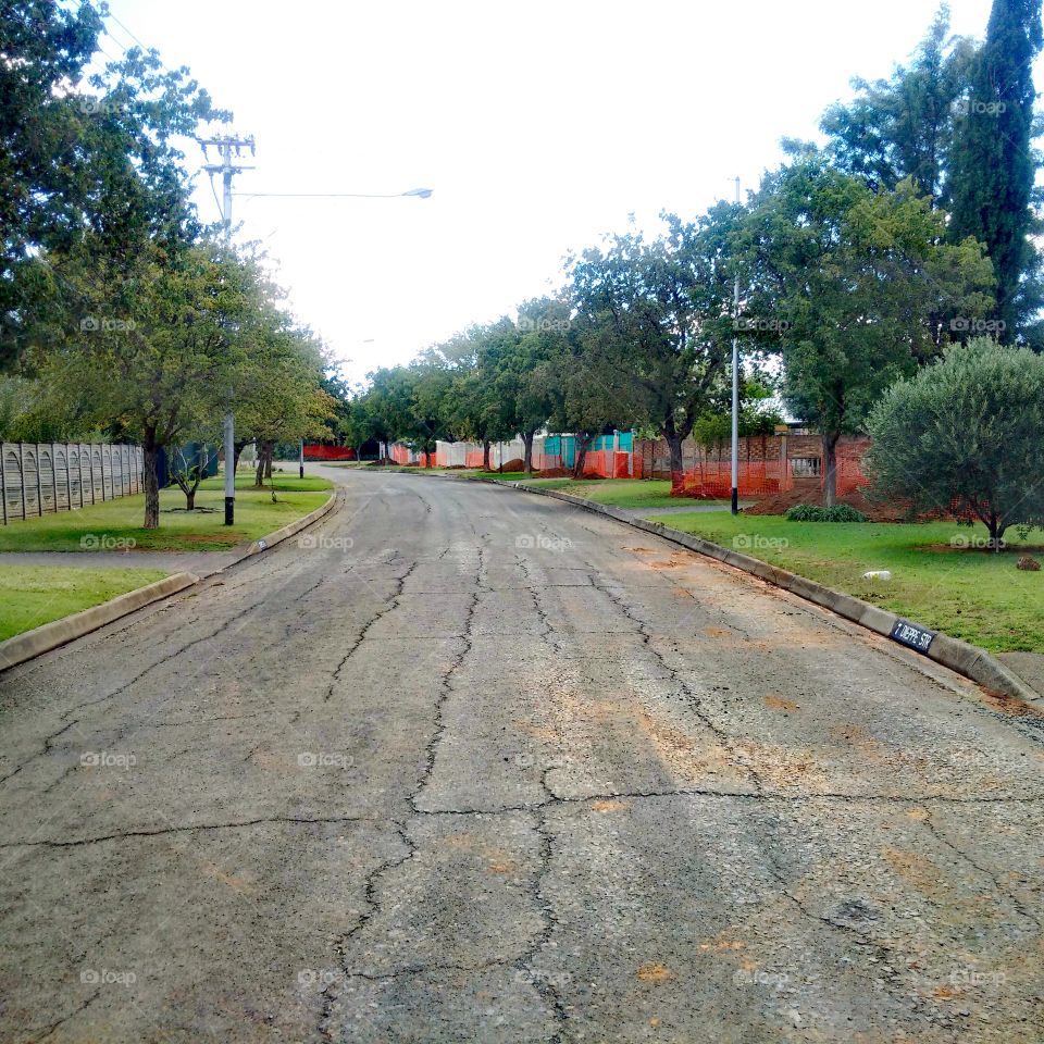 Suburban street in central South Africa