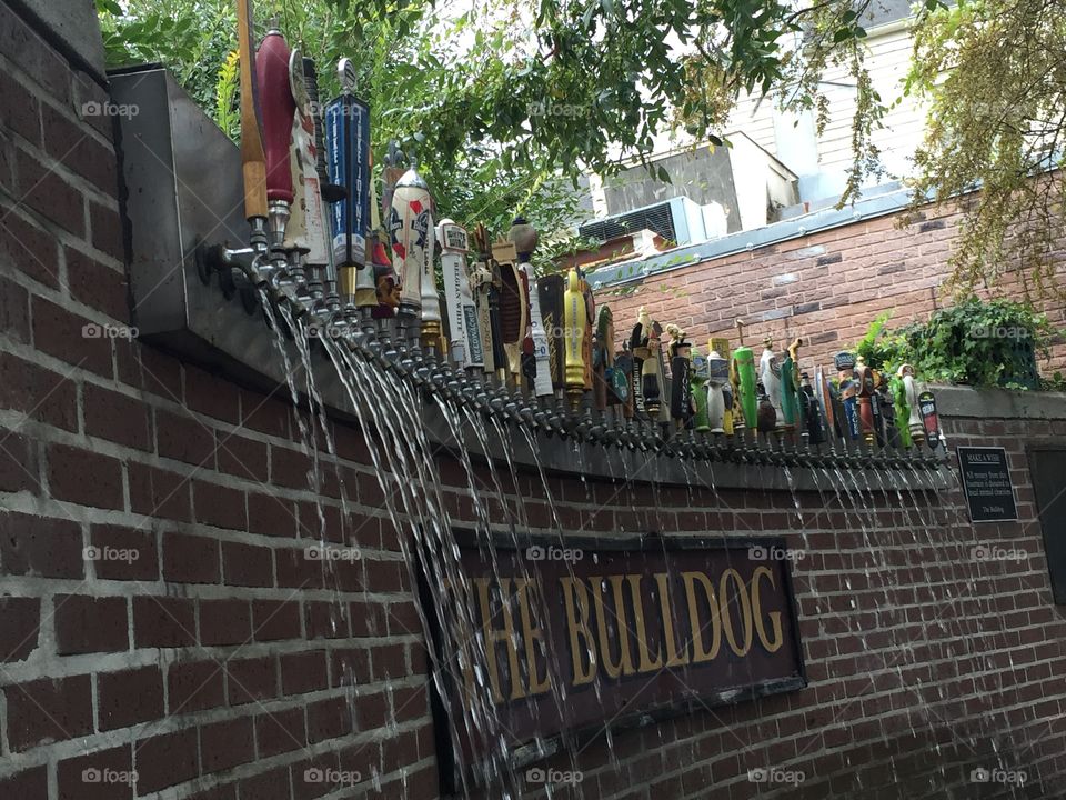 The Bulldog Beer Garden 