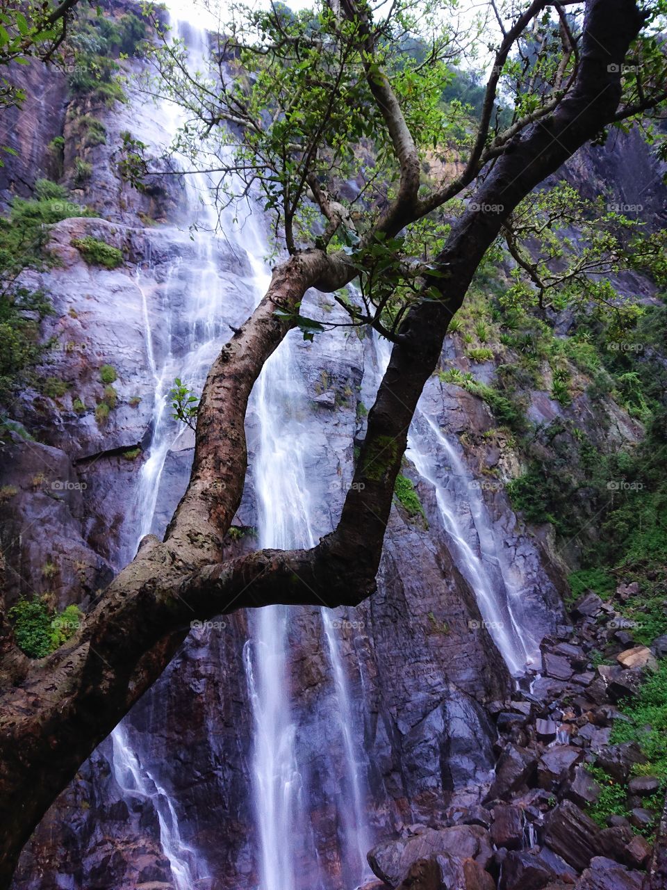 beautiful forest side waterfall