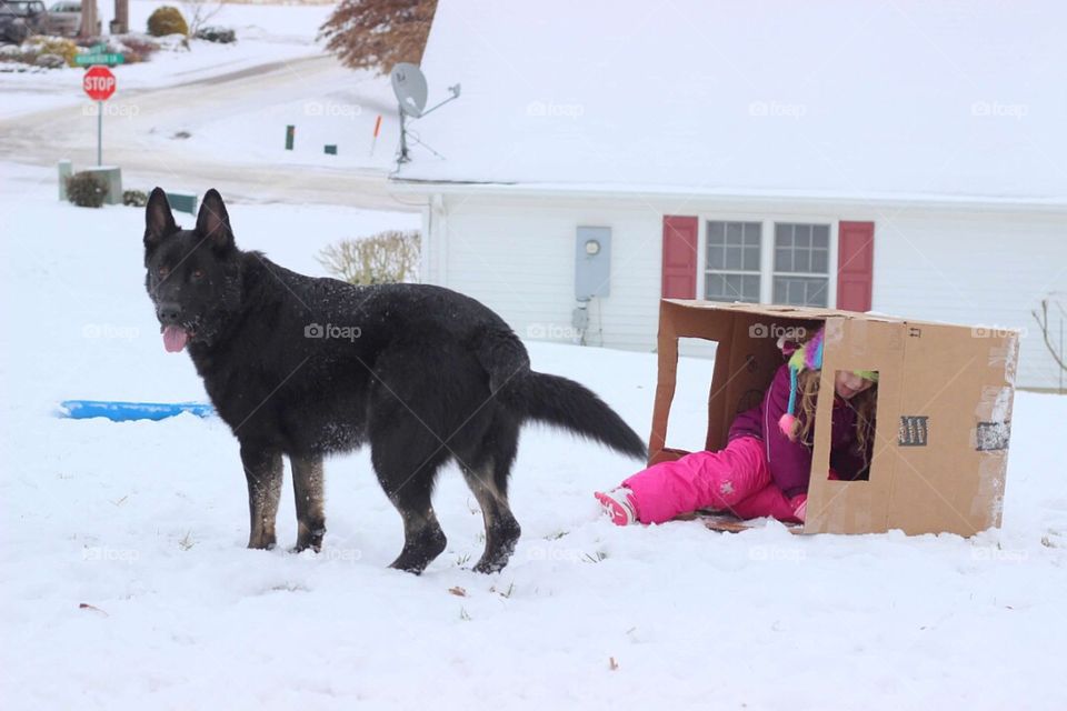 Girl and dog in winter