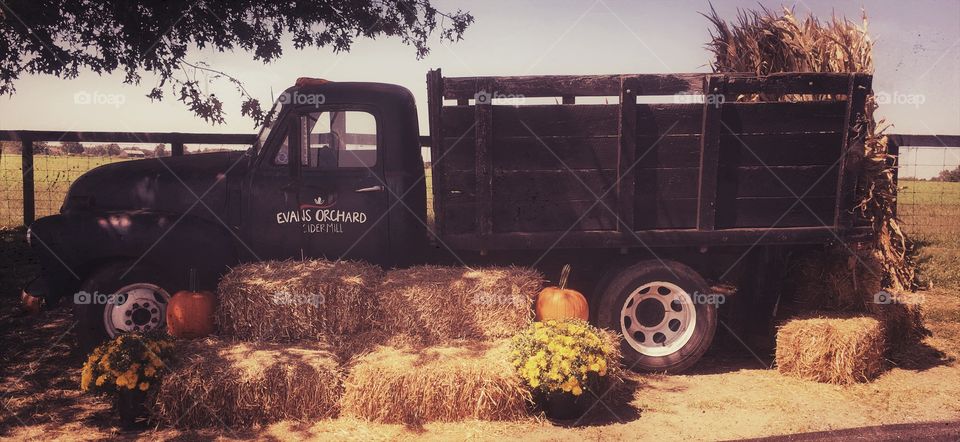 Farm Truck in the Fall