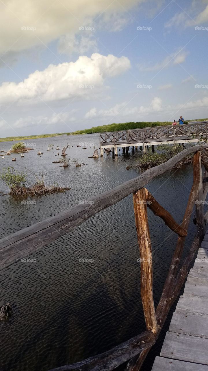 Swamp land in Mexico you can see the wooden bridge work and the water close below the viewing points clouds and lush greenery decorate the background 