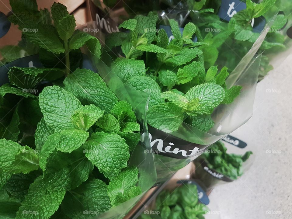 Fresh Mint Herbs at the market