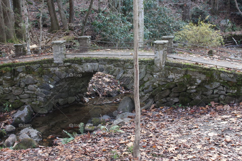 Elkmont bridge 