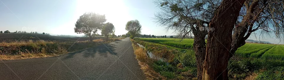🍃💫