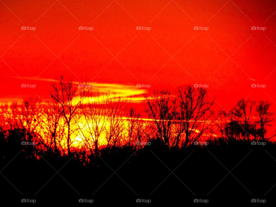 Sun going down behind the trees