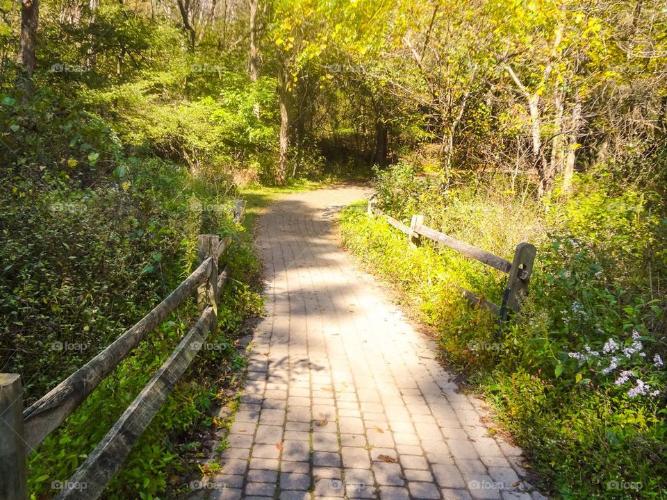 Brick path