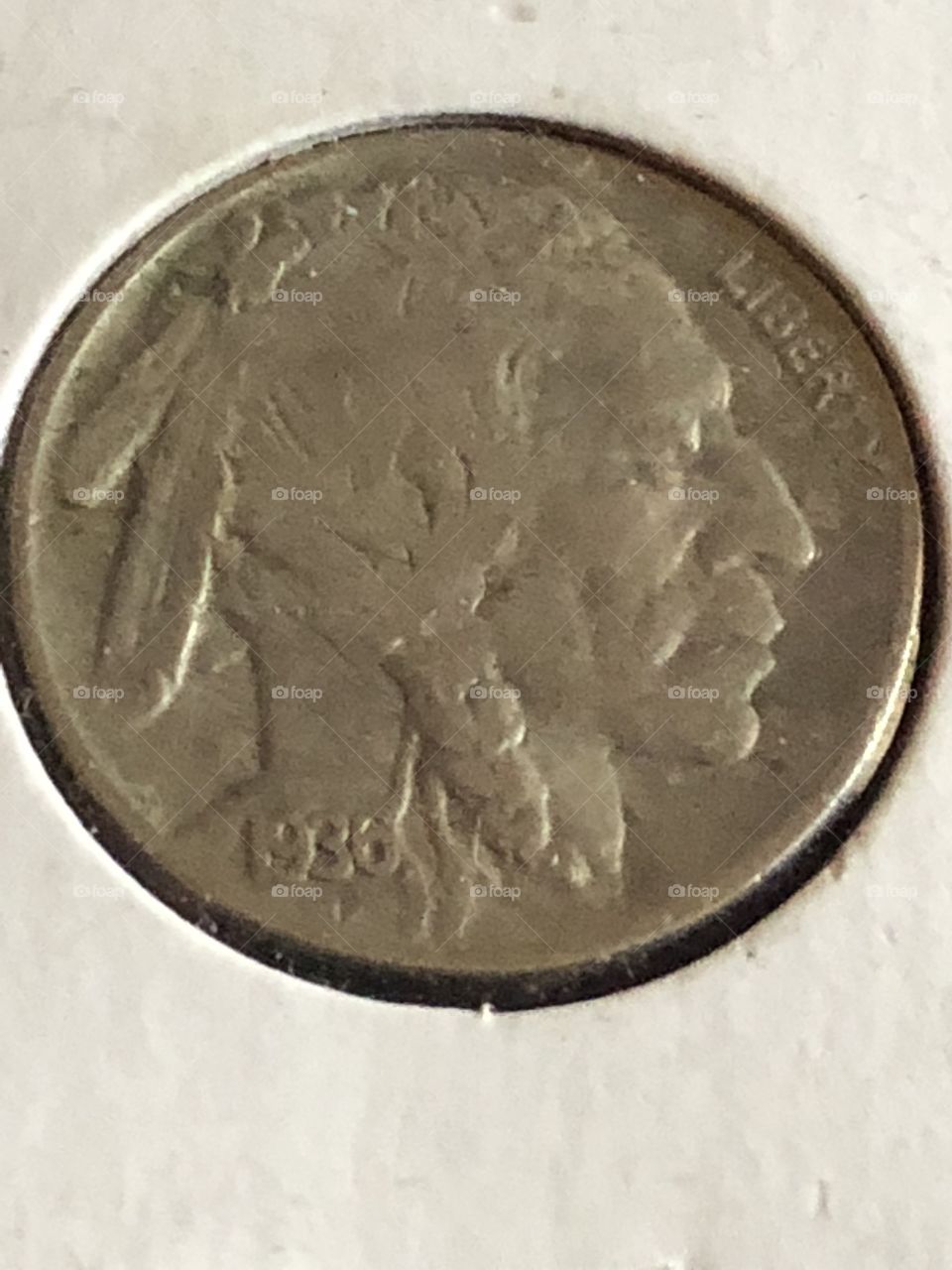 1938 buffalo nickel