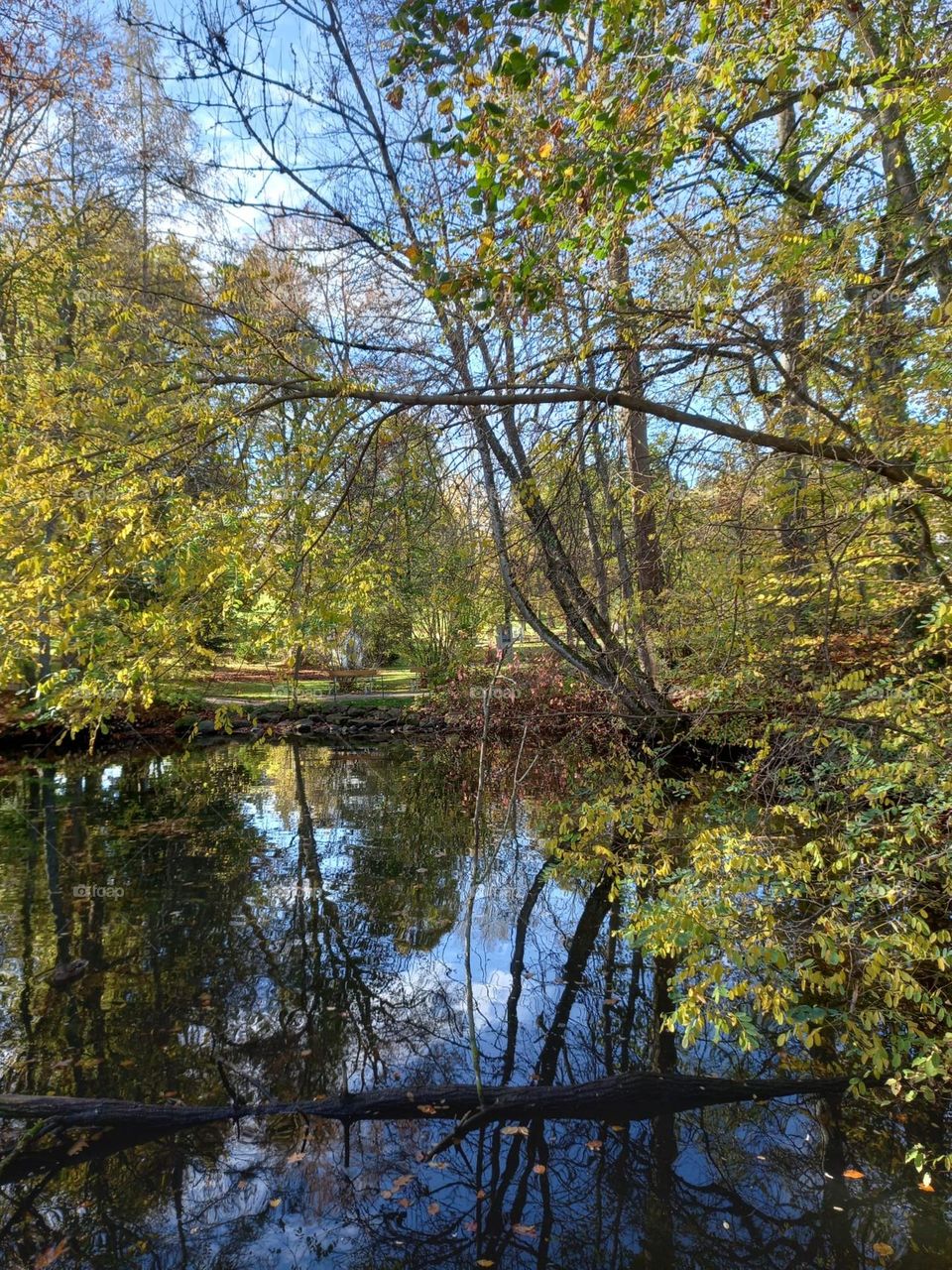 Reflections in an Autumn Lake