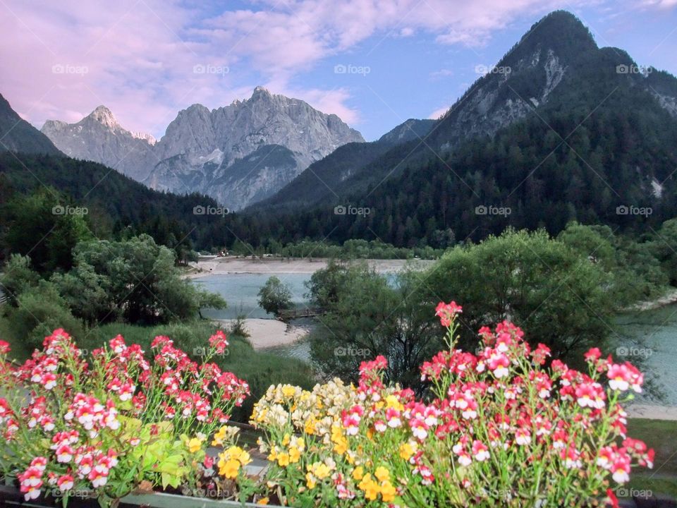 Early evening mountain view across Lake Jasna to the Julian Alps, Kranjska Gora, Slovenia, with flower display in the foreground