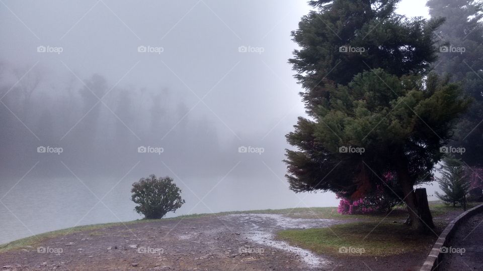 Park fog - Lago Negro