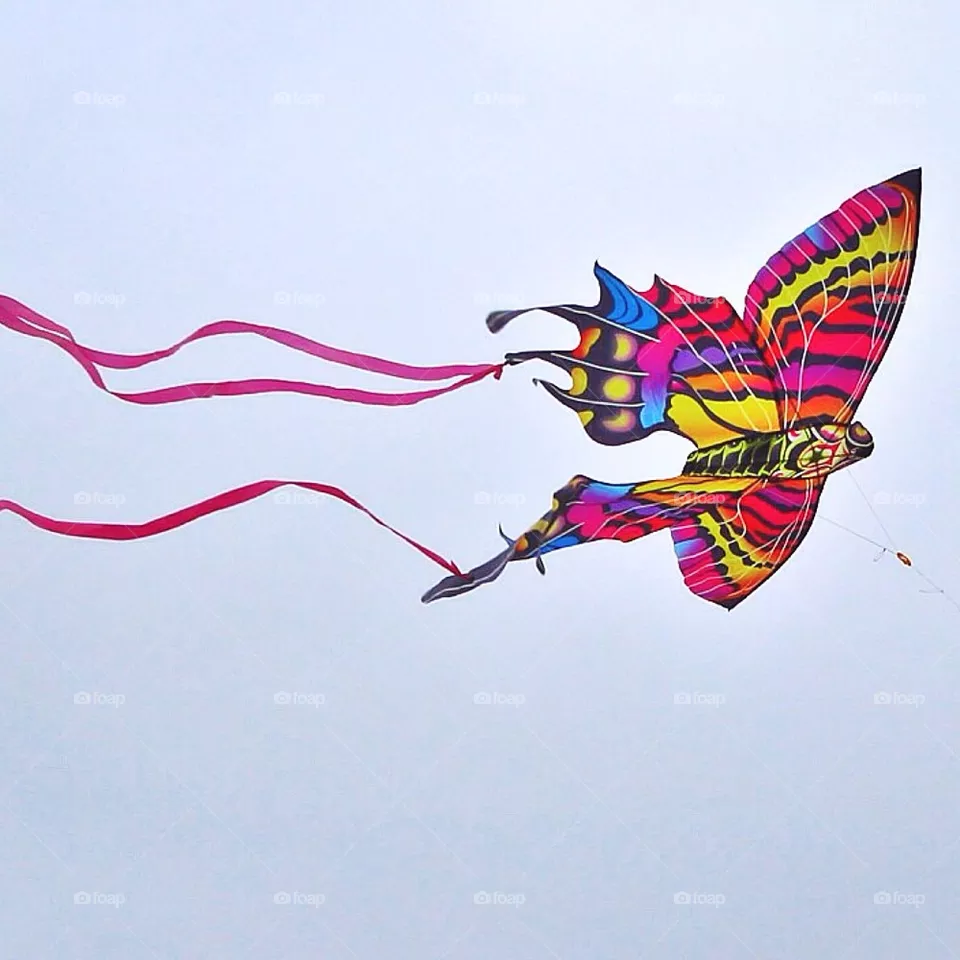 Flying High