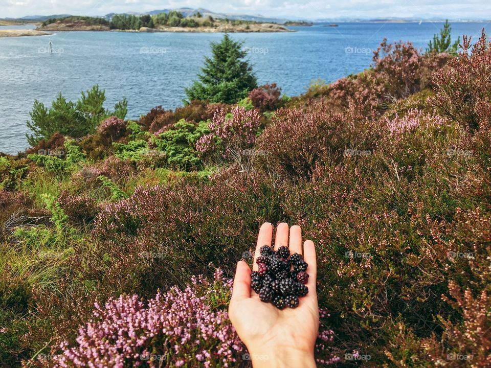 hiking with collecting wild berries