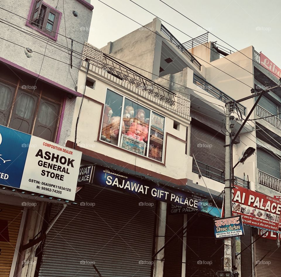 Teddy’s in the window 