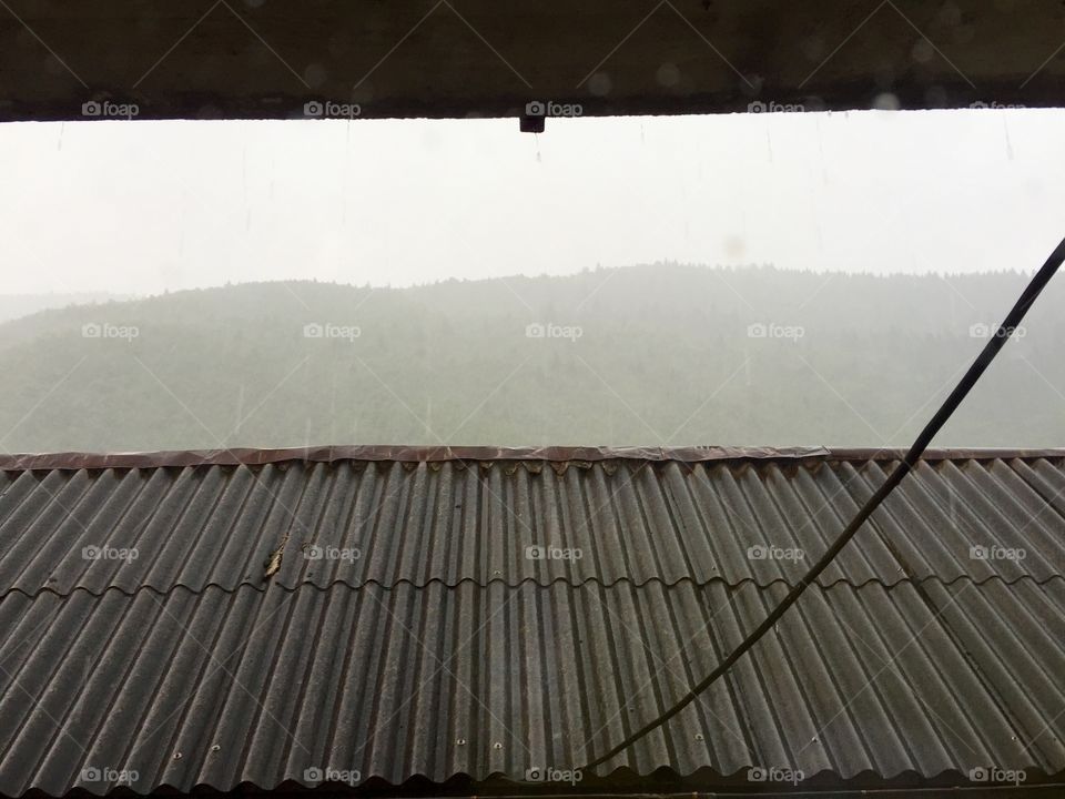 Rainy