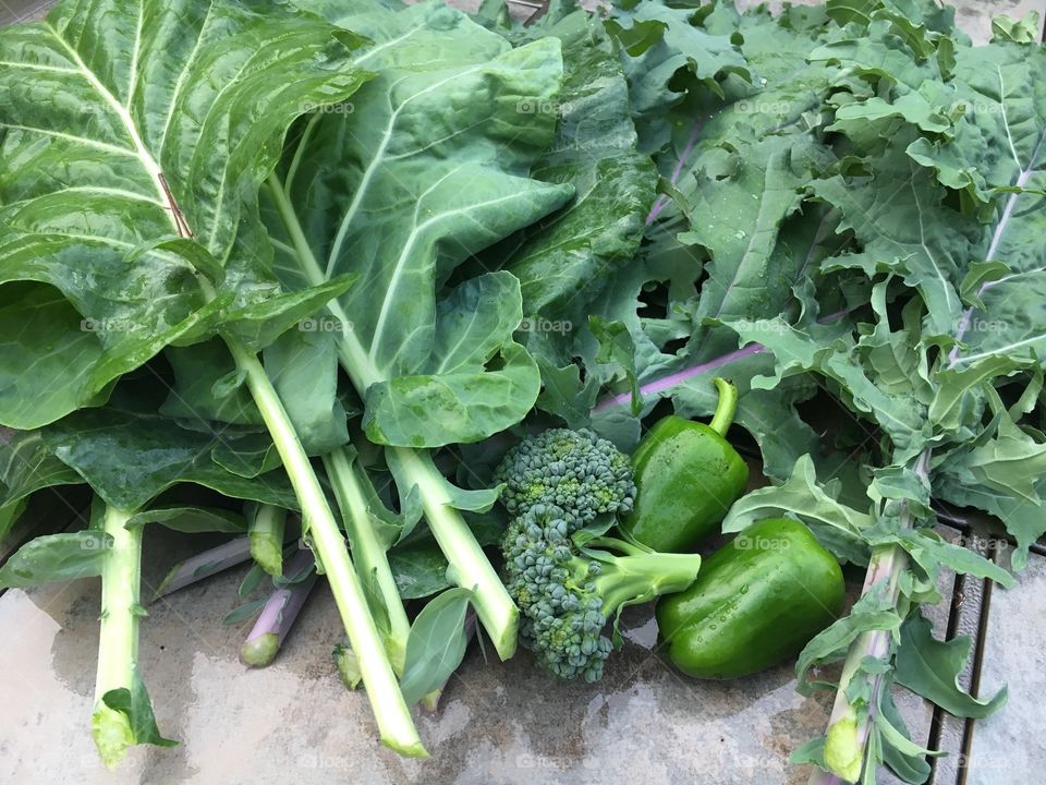 Fresh Picked from the Garden