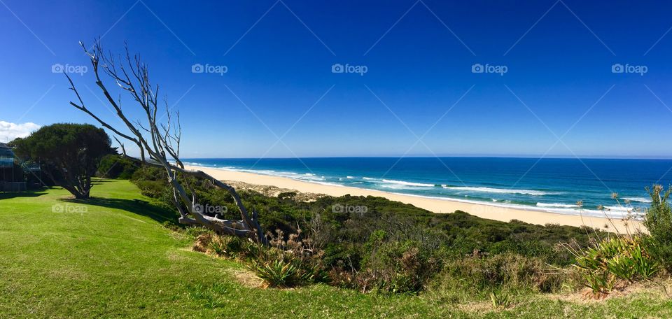 90 mile beach with the windswept trees