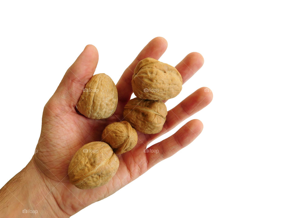 walnuts in hand