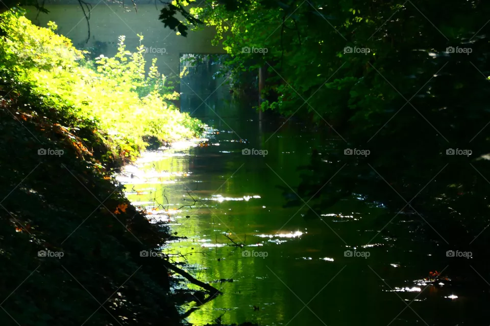 light and shadow