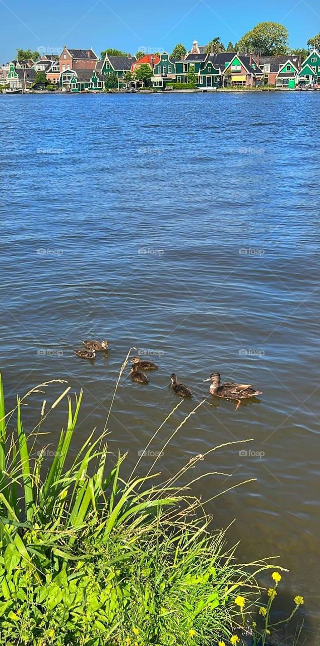 Lesson 2: join the premium mission