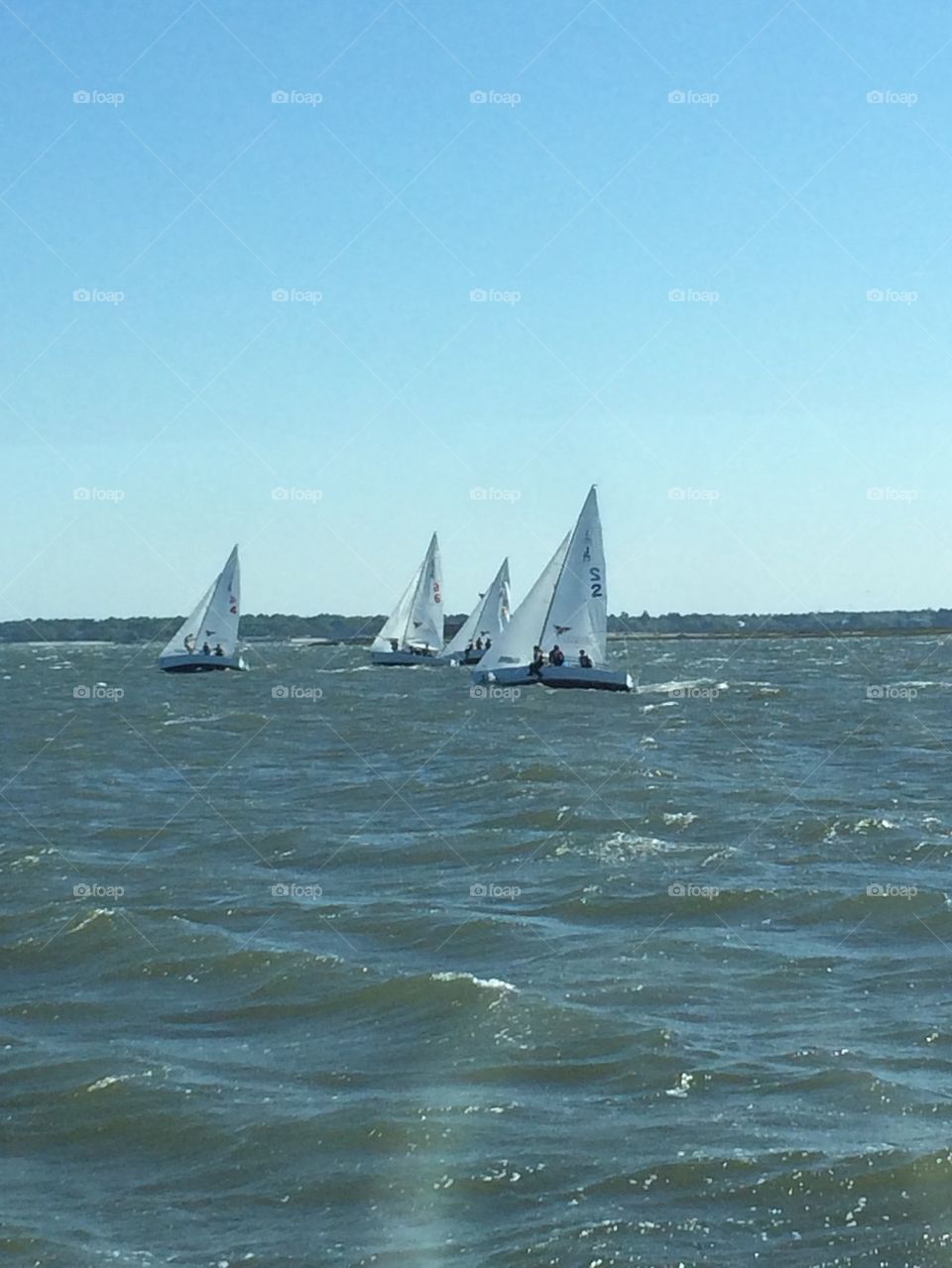 Sailboats in Charleston 