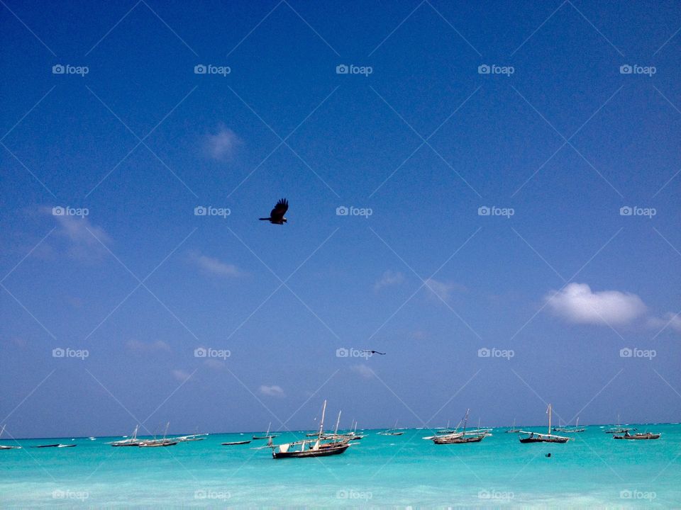 Flight over turbulent waters